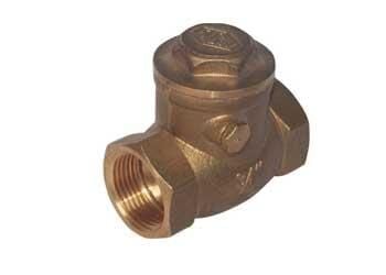 Çalpara Çek Valf Pn 12 2''