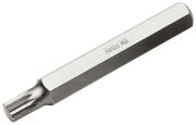 Retta 10 mm XZN Torx Bits Uç M10x75